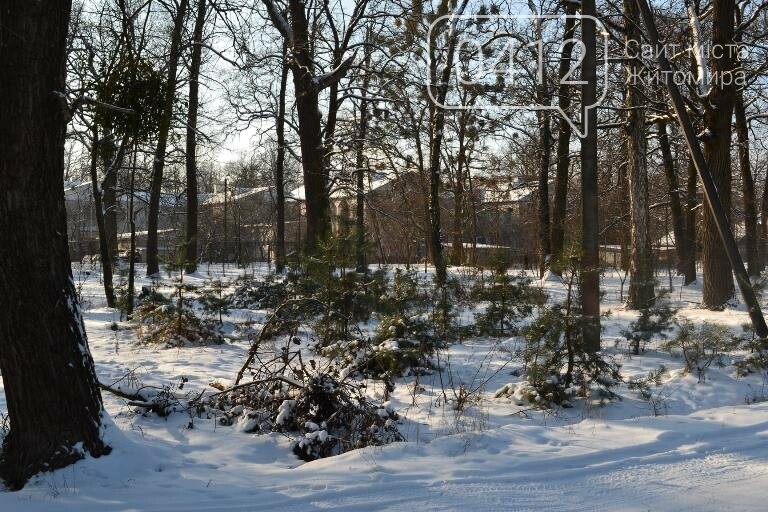 Казкові засніжені краєвиди: Фотопрогулянка мальовничим селищем поблизу Житомира. ФОТОРЕПОРТАЖ, фото-22