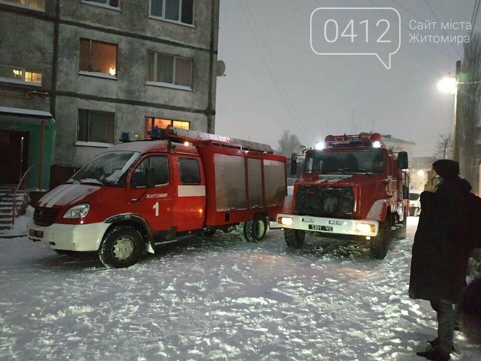 Історія зі щасливим фіналом: у Житомирі кицю, яка надихалася газу, надзвичайники врятували із задимленої оселі, фото-2