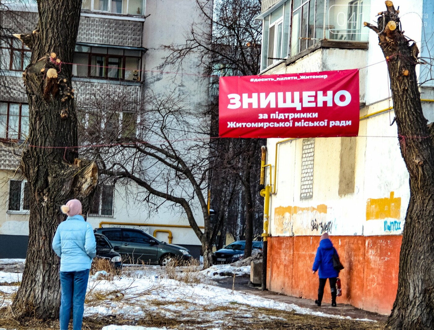 У Житомирі забили на сполох через те, як в місті обрізають дерева. ФОТО, фото-1