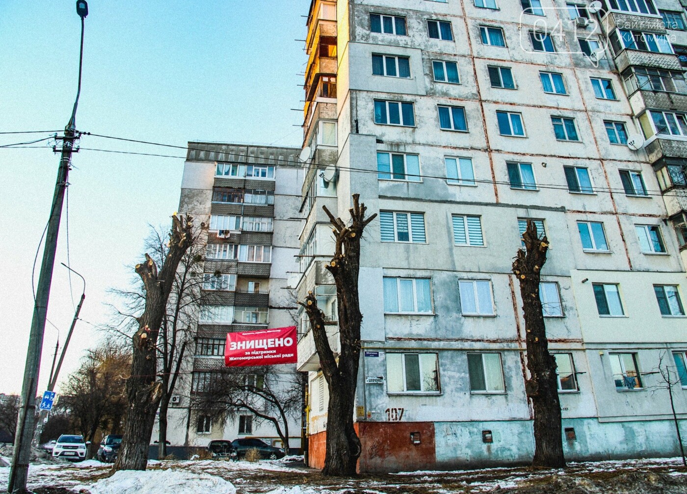 У Житомирі забили на сполох через те, як в місті обрізають дерева. ФОТО, фото-2