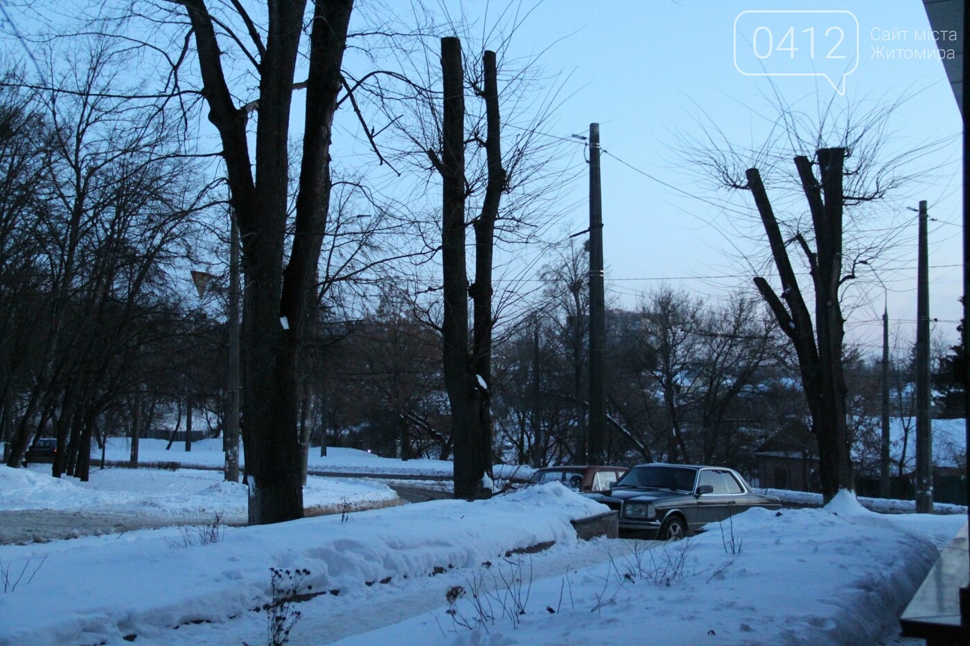 У Житомирі забили на сполох через те, як в місті обрізають дерева. ФОТО, фото-5