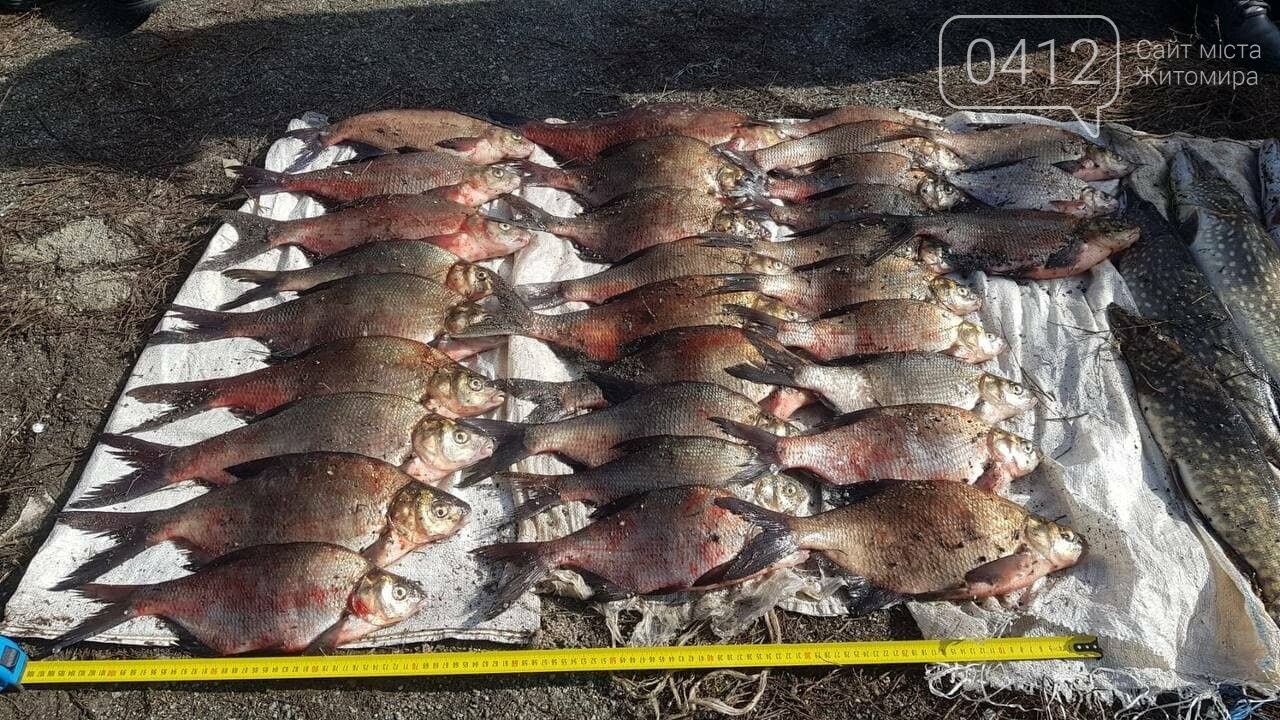 Завдяки небайдужим рибалкам на Житомирщині викрито порушника з 60 кг риби, фото-1
