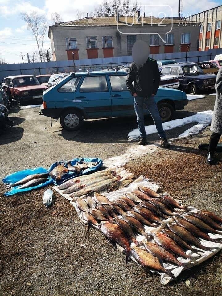 Завдяки небайдужим рибалкам на Житомирщині викрито порушника з 60 кг риби, фото-7