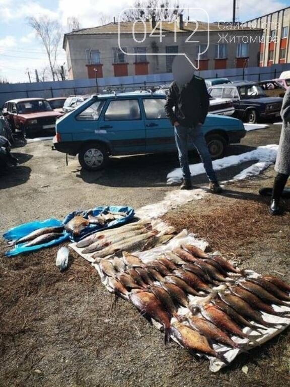 На водосховищі в Житомирській області браконьєри півкілометровими сітками виловлювали рибу задля торгівлі, фото-1