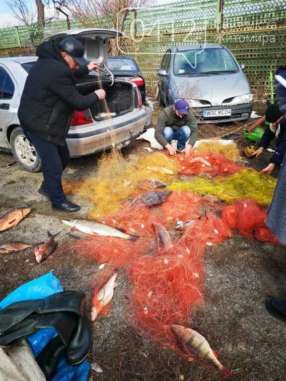 На водосховищі в Житомирській області браконьєри півкілометровими сітками виловлювали рибу задля торгівлі, фото-3