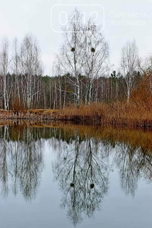 Коли зачаровує природа: в мережі показали живописні краєвиди Житомирщини. ФОТО, фото-3