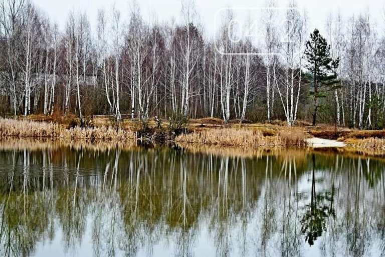 Коли зачаровує природа: в мережі показали живописні краєвиди Житомирщини. ФОТО, фото-4