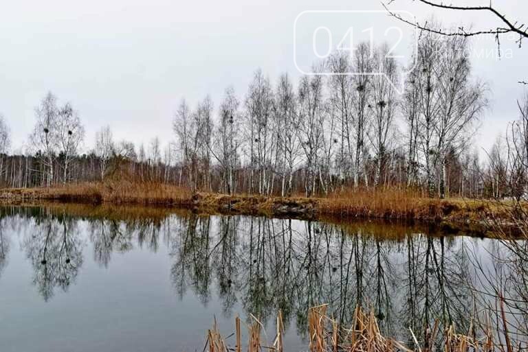 Коли зачаровує природа: в мережі показали живописні краєвиди Житомирщини. ФОТО, фото-5