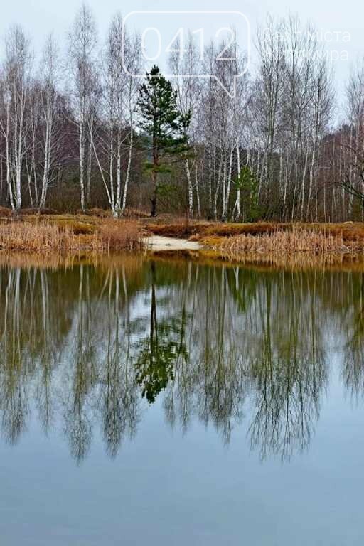 Коли зачаровує природа: в мережі показали живописні краєвиди Житомирщини. ФОТО, фото-8