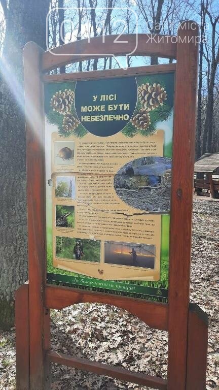 Сезон відпочинку в рекреаційній зоні на Житомирщині стартував… актом вандалізму. ФОТО, фото-4