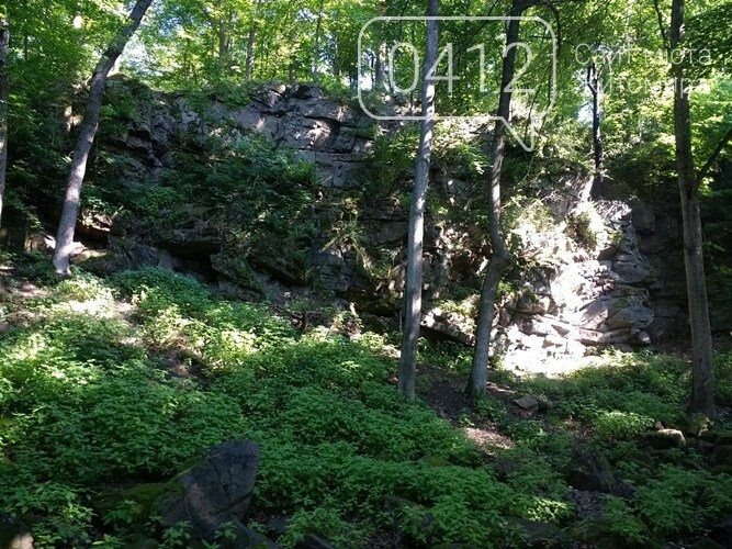 Дивовижна та мальовнича: справжня «Мекка» для скелелазів поблизу Житомира. ФОТО, фото-3