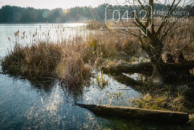 Краса та чарівність весняного лісу в Житомирі. ФОТОРЕПОРТАЖ, фото-16