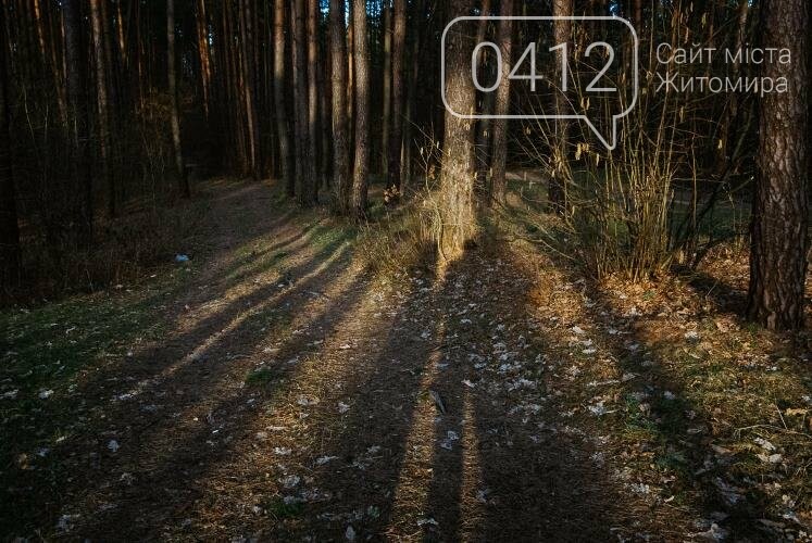 Краса та чарівність весняного лісу в Житомирі. ФОТОРЕПОРТАЖ, фото-18