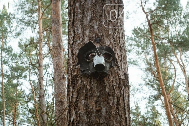 Краса та чарівність весняного лісу в Житомирі. ФОТОРЕПОРТАЖ, фото-19