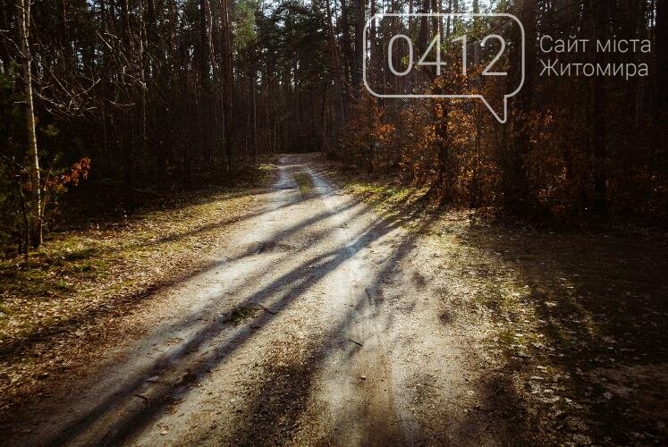 Краса та чарівність весняного лісу в Житомирі. ФОТОРЕПОРТАЖ, фото-25