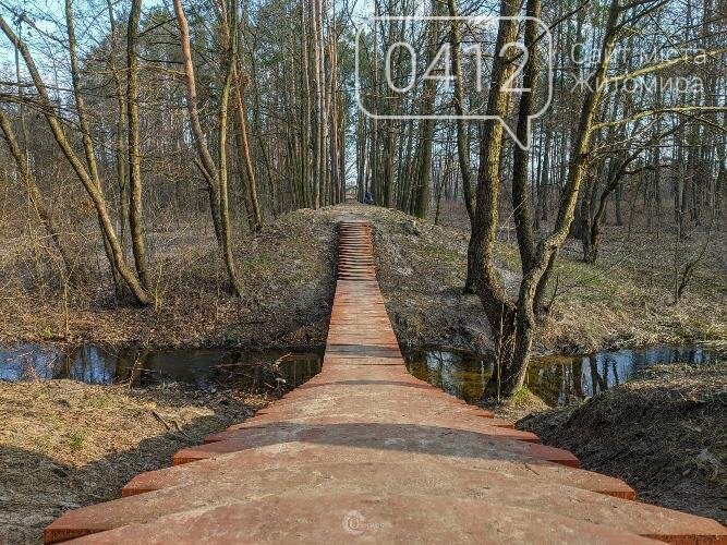 Атмосферний та колоритний кар’єр у Житомирі очима місцевого фотографа. ФОТО, фото-8