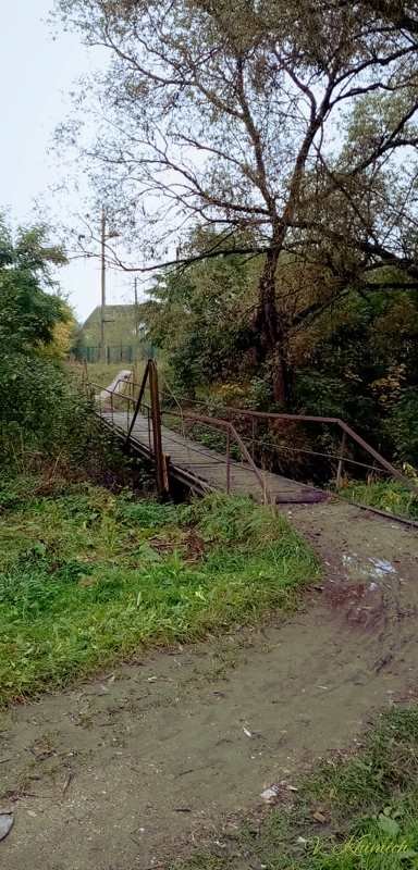 На берегах річки Лісової: Живописні осінні краєвиди в Житом..., фото-3 На берегах річки Лісової: Живописні осінні краєвиди в Житомирі. ФОТО, фото-3