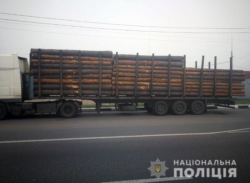 У Житомирському районі поліцейські виявили фуру з нелегальн..., фото-1 У Житомирському районі поліцейські виявили фуру з нелегальною деревиною, фото-1