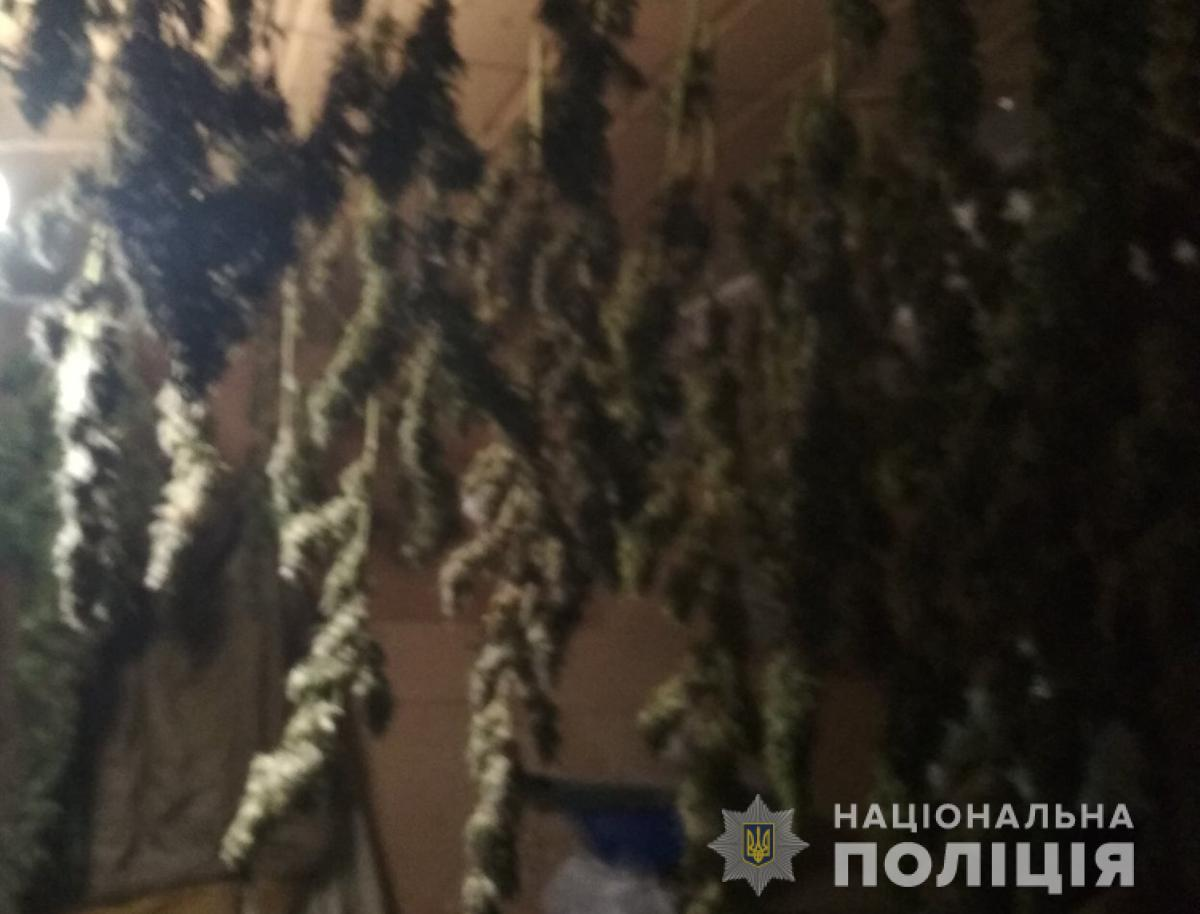 У жителя Попільняського району поліцейські вилучили наркоти..., фото-1 У жителя Попільняського району поліцейські вилучили наркотичні засоби вартістю у кілька десятків тисяч гривень, фото-1