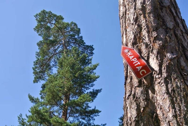 Колоритні околиці Житомира. ФОТО, фото-8 Колоритні околиці Житомира. ФОТО, фото-8
