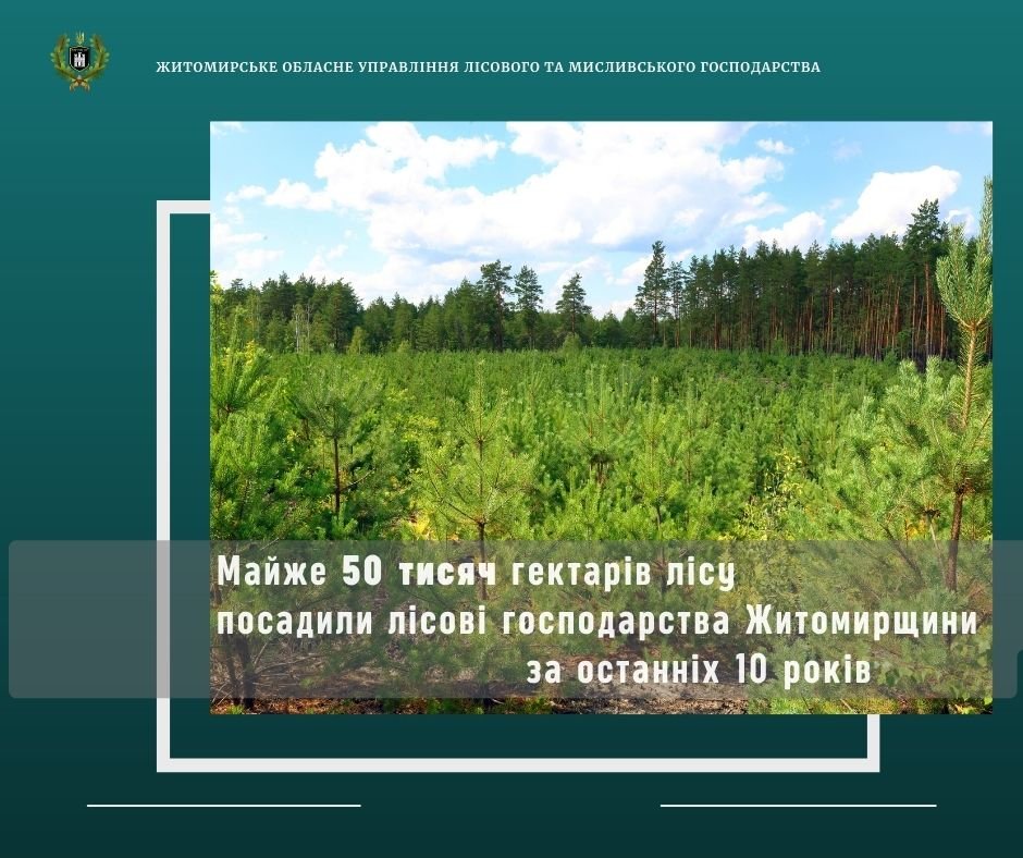 Майже 50 тисяч гектарів лісу посадили лісові господарства Житомирщини за останніх 10 років, фото-1