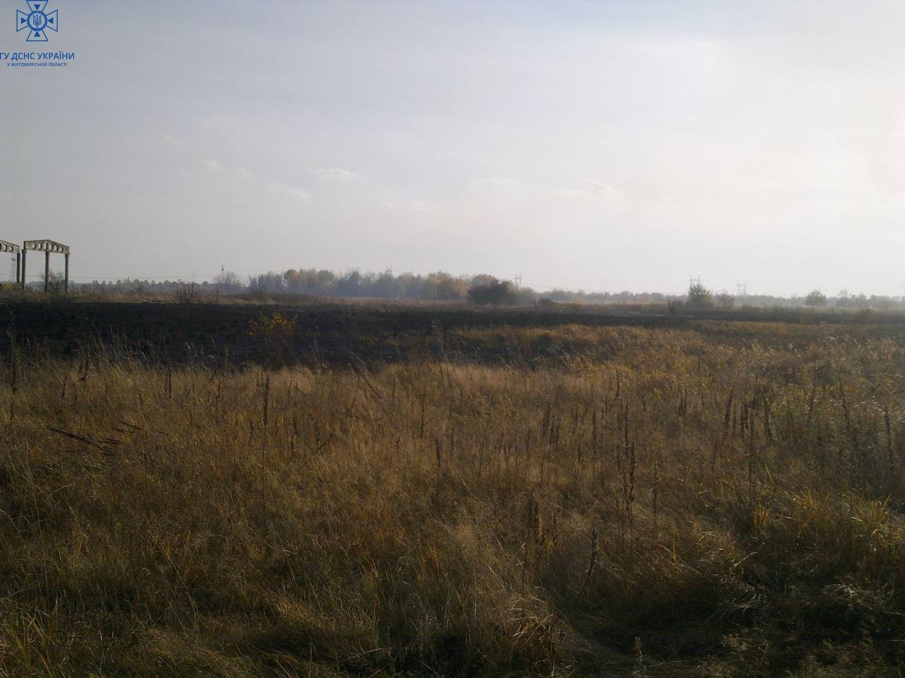 Упродовж минулої доби вогнеборці Житомирщини ліквідували 7 пожеж