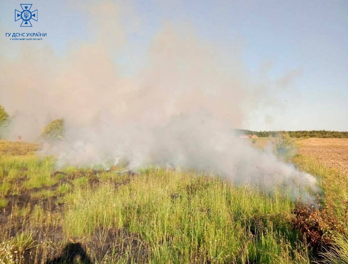 Рятувальники ліквідовують пожежі на відкритих територіях