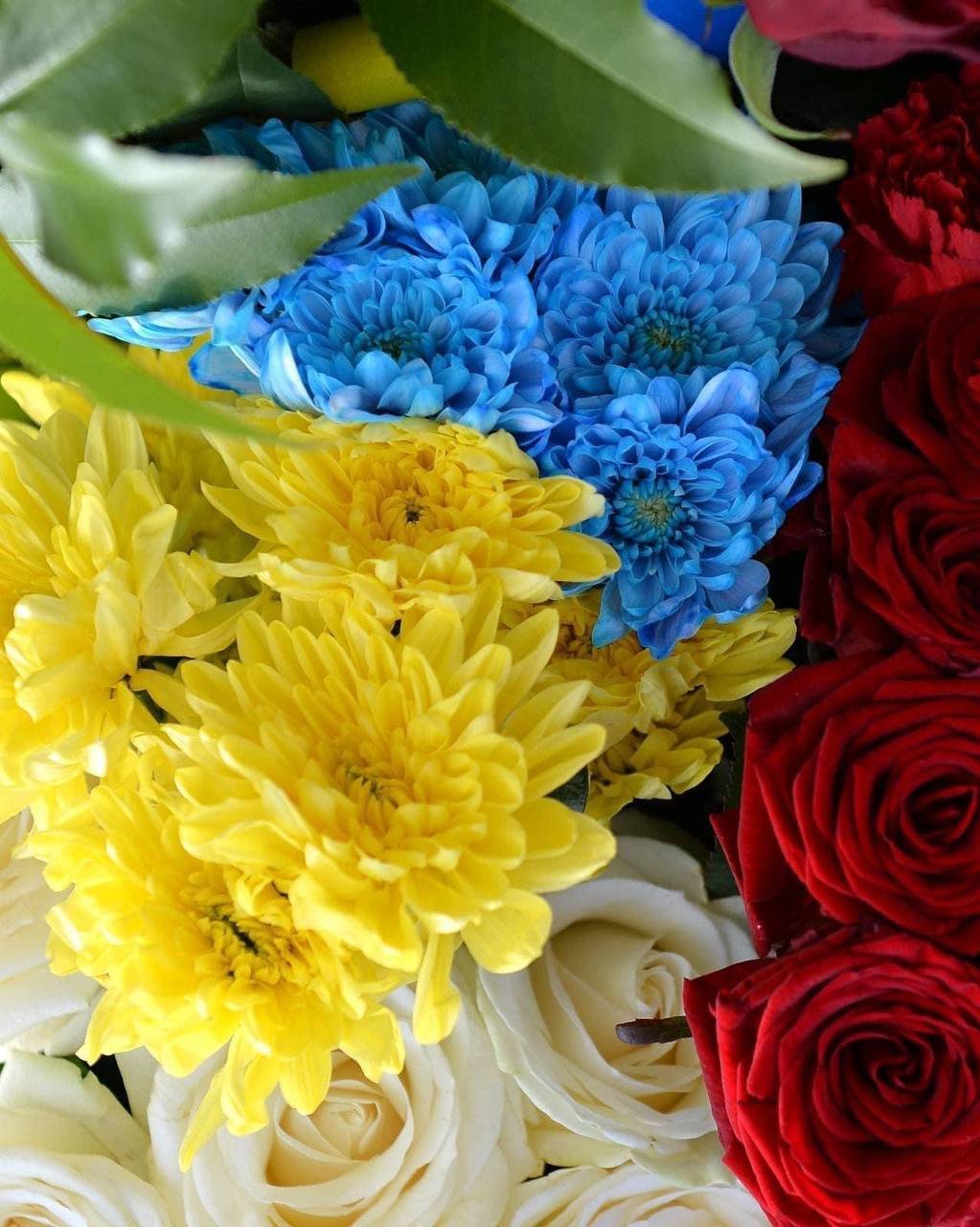 Житомир прощається: на щиті повернувся Герой Володимир Добровольський