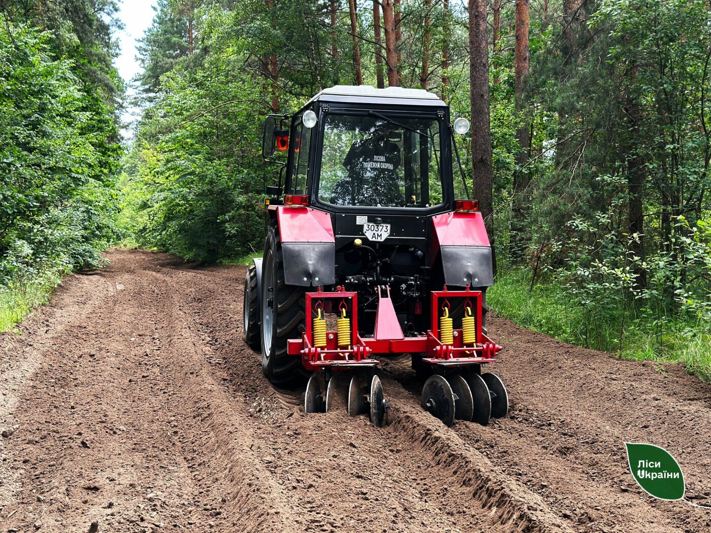 Мінералізовані смуги: для чого вони та як їх створюють лісівники Житомирщини