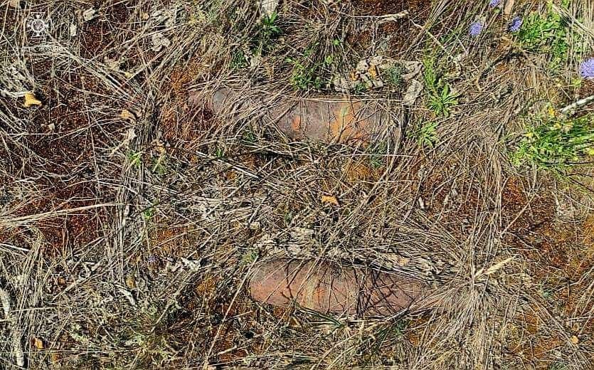 Коростенський район: виявлено два боєприпаси часів минулих війн