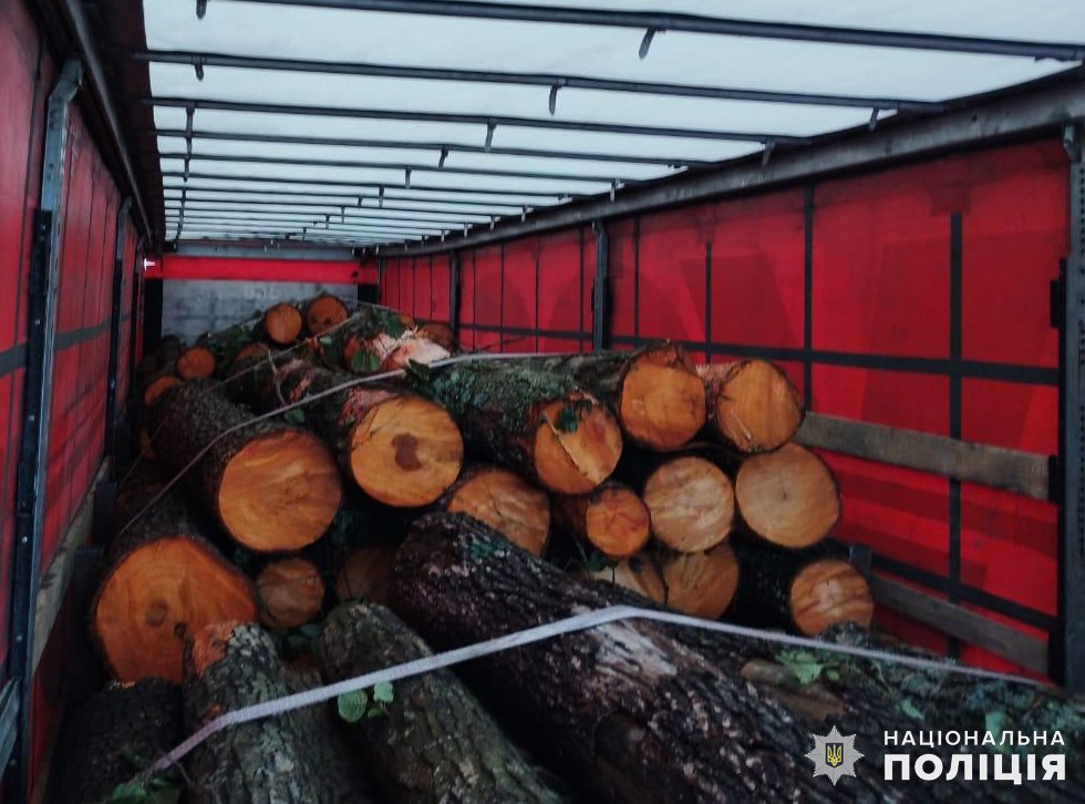 У Малинській громаді поліцейські виявили вантажівку з нелегальним лісом