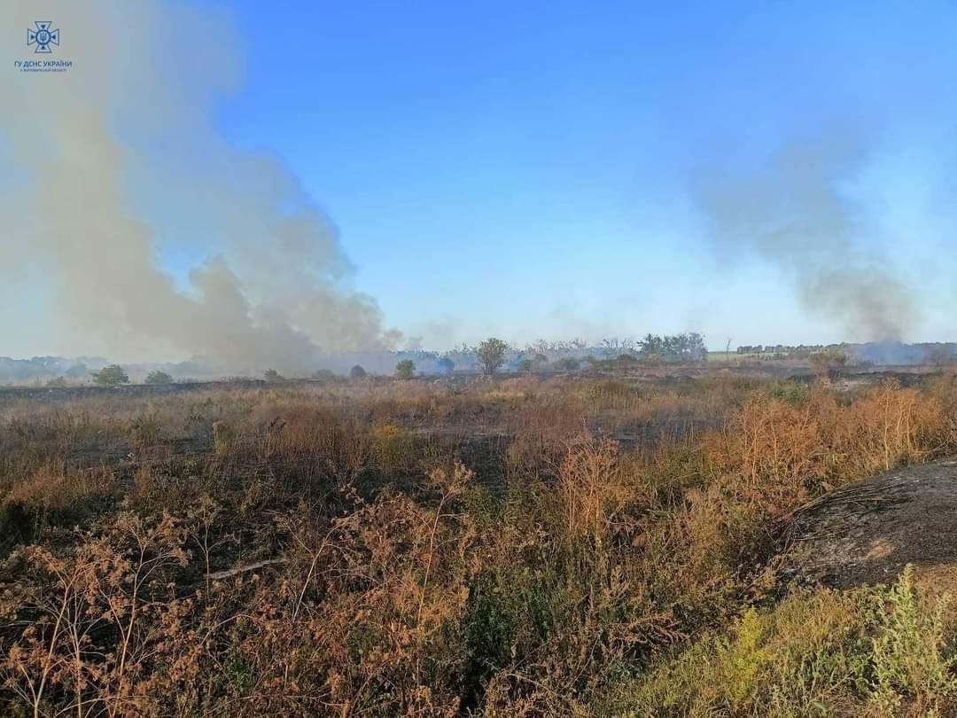 Упродовж доби вогнеборці ліквідували 20 загорянь у природних екосистемах Житомирщини