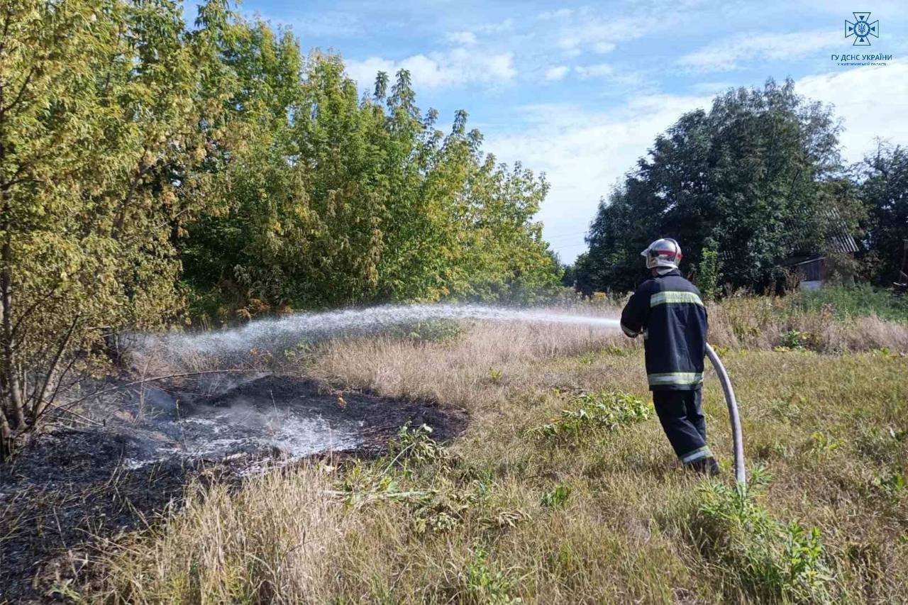 За минулу добу в Житомирській області сталося шістнадцять загоряння сухої трави, — ДСНС