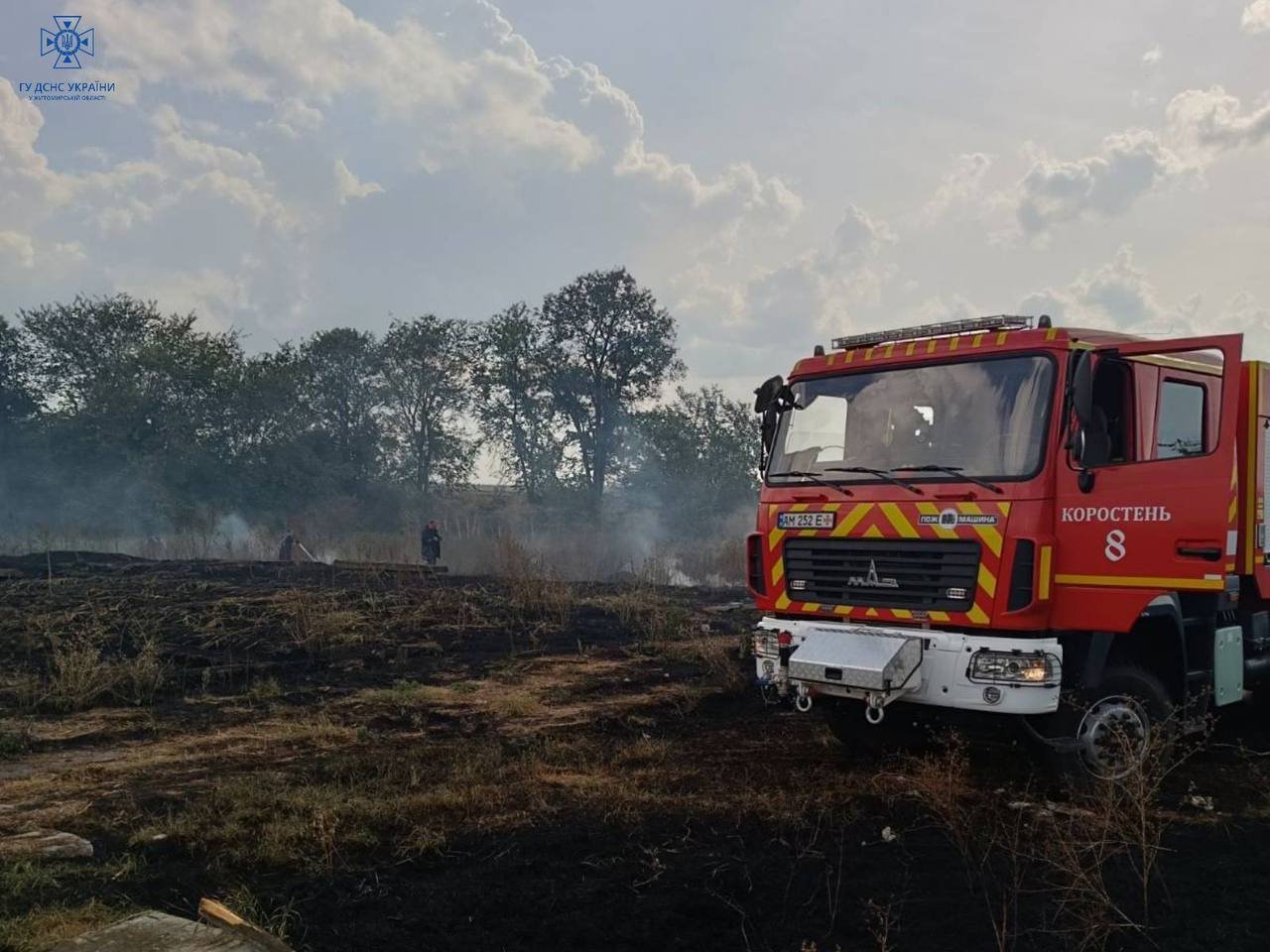 Житомирщина: минулої доби рятувальники ліквідовували 11 загорянь сухої рослинності