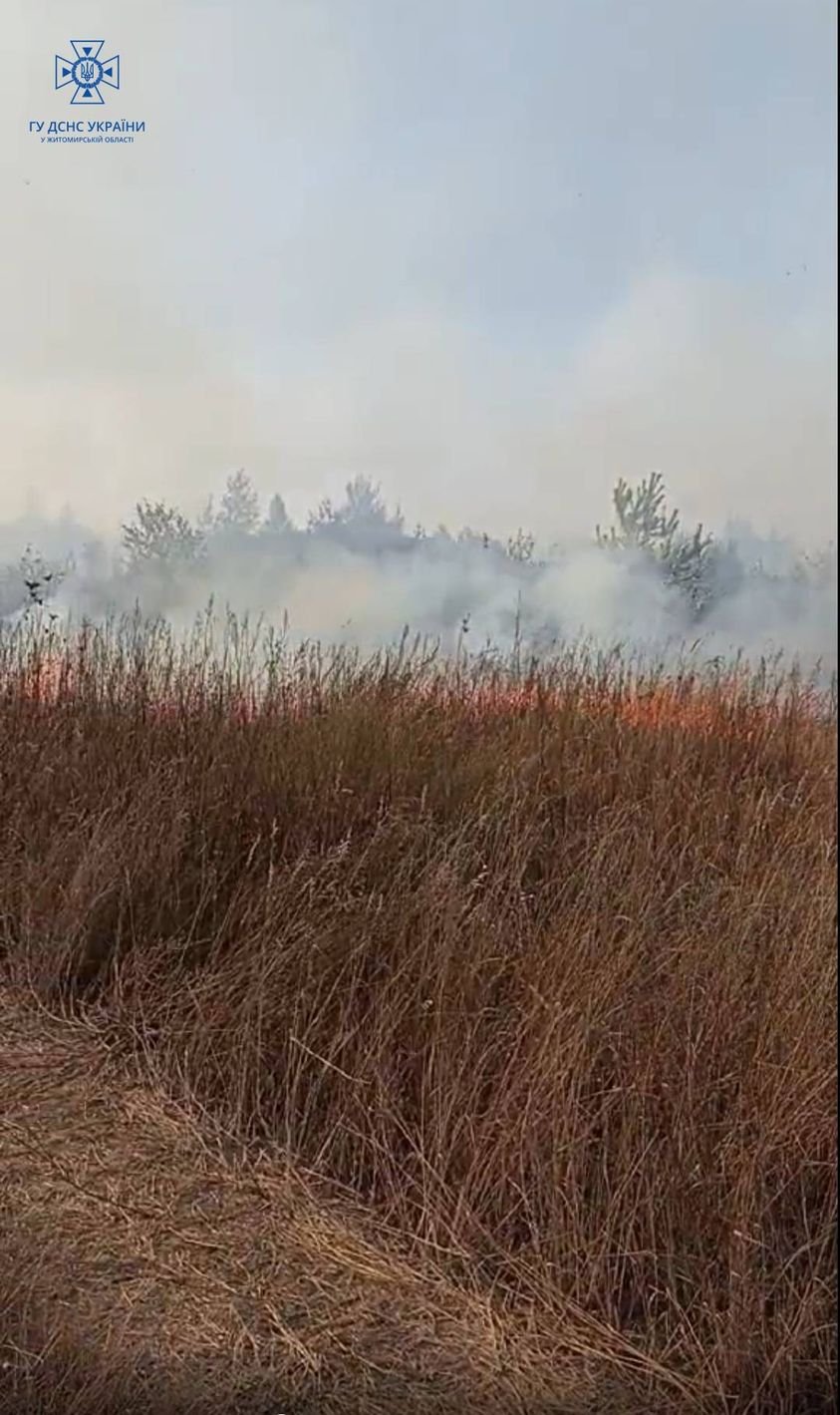 На Житомирщині рятувальники ліквідували загоряння сухостою на стихійному сміттєзвалищі