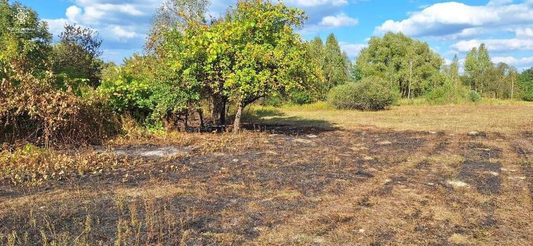 Упродовж доби вогнеборці ліквідували 6 загорянь у природних екосистемах Житомирської області