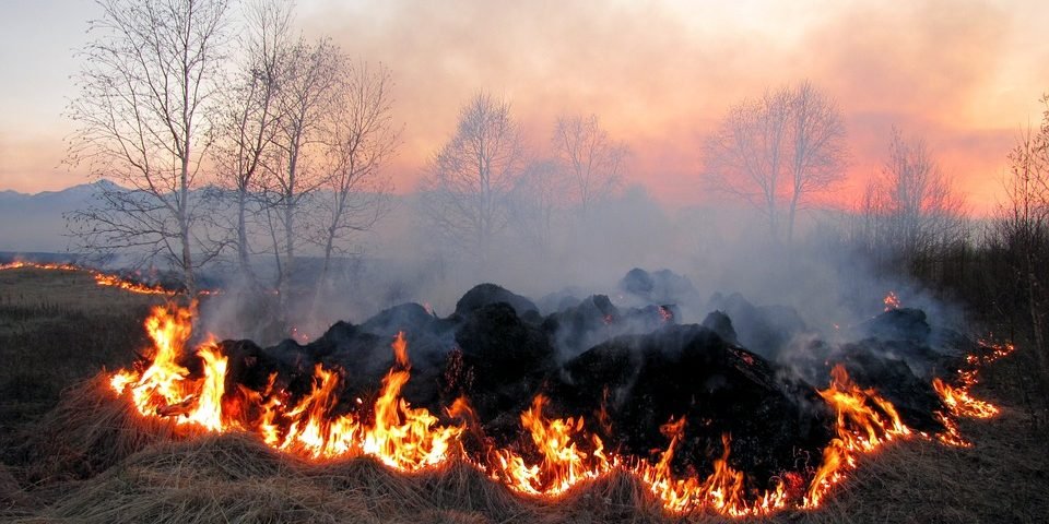 Увага! У Житомирській області на вихідних утримується пожежна небезпека