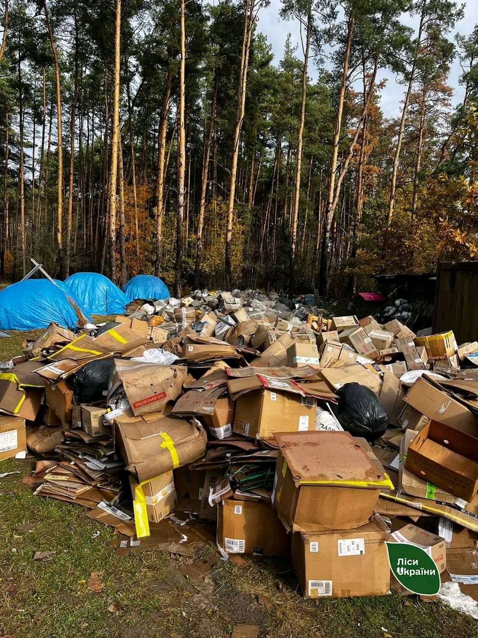 Лісівники зупинили вивантаження паперових відходів у Богунському лісництві поблизу Житомира  