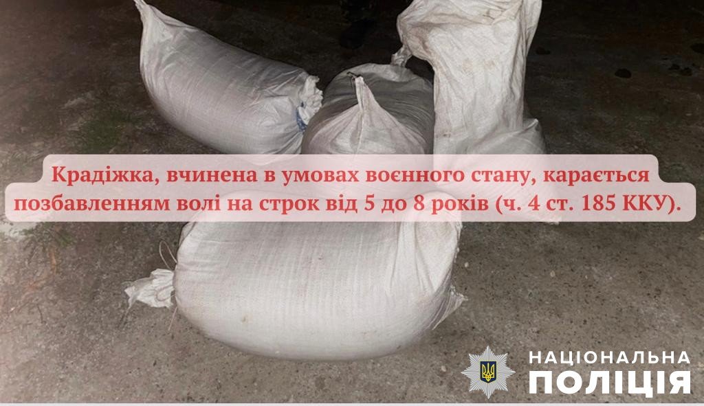 На Житомирщині поліцейські викрили чоловіка у крадіжці з місця роботи