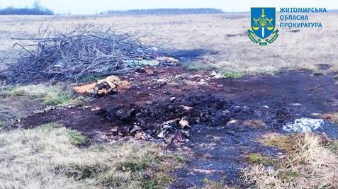 Прокуратура через суд зобов’язала коростенця сплатити 1,1 млн грн за забруднення хімічними речовинами комунальної землі