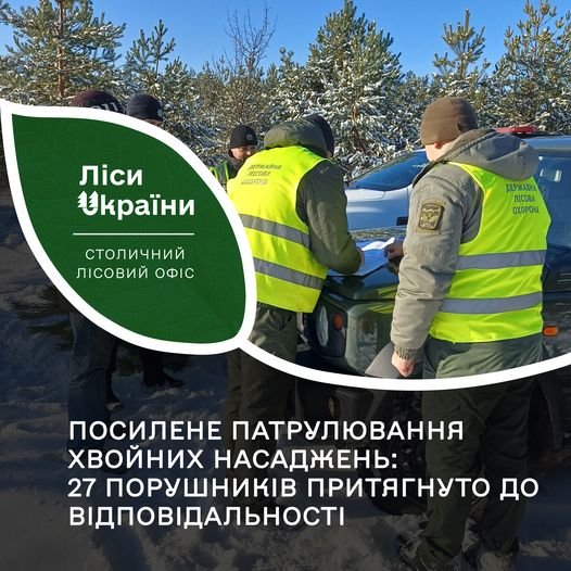 Посилене патрулювання хвойних насаджень: на Житомирщині порушників притягнули до адміністративної відповідальності