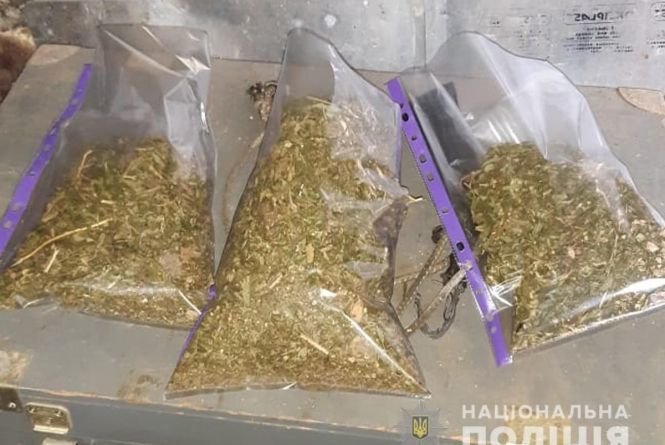 На Житомирщині поліцейські вилучили майже два кілограми наркотичних... На Житомирщині поліцейські вилучили майже два кілограми наркотичних засобів , Мірошниченко Ксенія