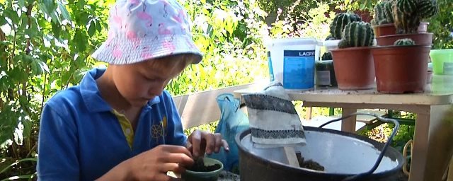 7-річний школяр із Житомира зібрав 100 видів кактусів. ВІДЕО