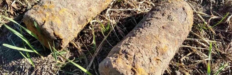 У 2020-му піротехніки Житомирщини знищили вже 934 боєприпасів