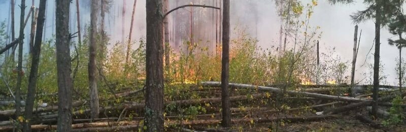 На Житомирщині постраждалим від пожеж виплатять по 300 тисяч гривен... На Житомирщині постраждалим від пожеж виплатять по 300 тисяч гривень, Ketlandia