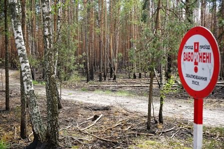 Усі 12 сімей, що постраждали внаслідок лісових пожеж на Овруччині,... Усі 12 сімей, що постраждали внаслідок лісових пожеж на Овруччині, отримали компенсацію, Ketlandia