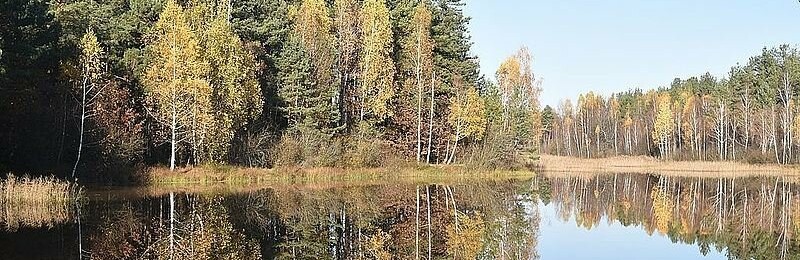 В Ігнатпільському лісництві оновлюється пункт відпочинку В Ігнатпільському лісництві оновлюється пункт відпочинку, Ketlandia
