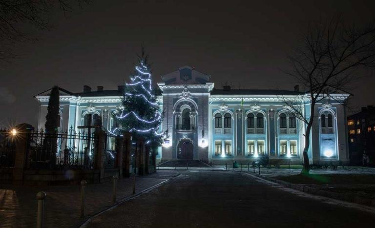 Неймовірні краєвиди Замкової гори в Житомирі взимку. ФОТО