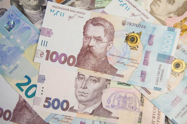 На Житомирщині у 2020-му понад 220 тисяч сімей й домогосподарств отримували державні пільги та субсидії