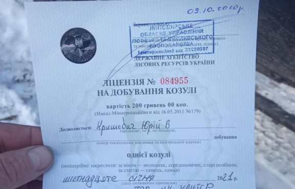 На Житомирщині в авто виявлено мертву козулю